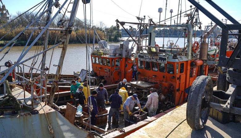 Operativo de descarga de corvina en el Puerto La Plata impulsa el empleo regional